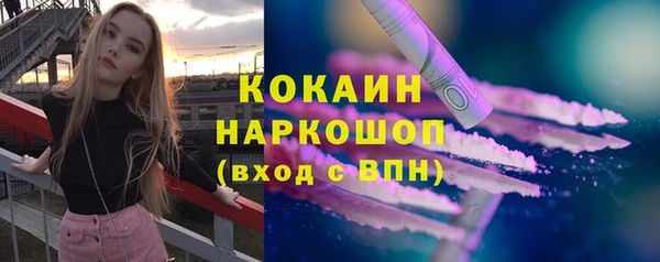 гашик Надым