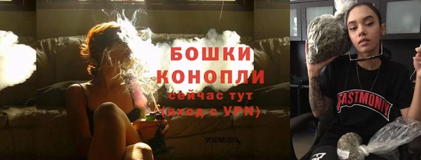 гашик Надым