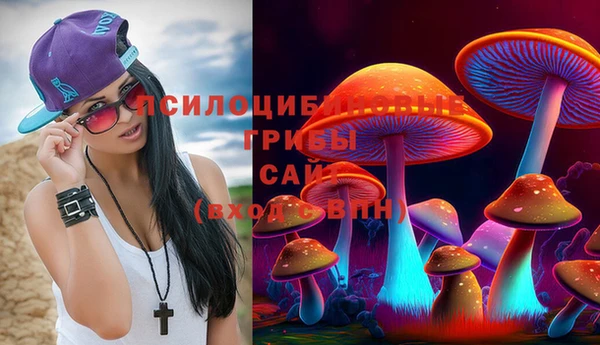 ПСИЛОЦИБИНОВЫЕ ГРИБЫ Наволоки