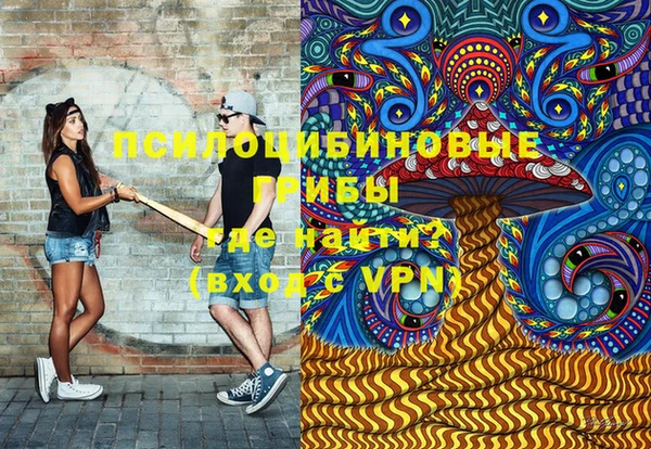 ПСИЛОЦИБИНОВЫЕ ГРИБЫ Наволоки