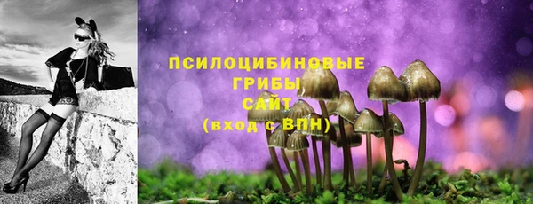 гашик Надым