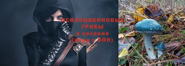 амф Бугульма