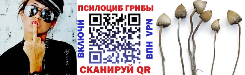 Псилоцибиновые грибы мицелий  hydra tor  Кириллов 